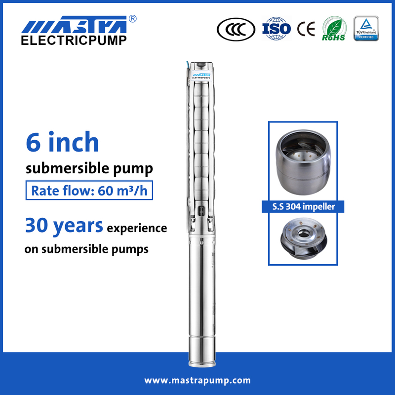 Mastra 6 inch all stainless steel Solar water pump company 6SP deep well submersible pump