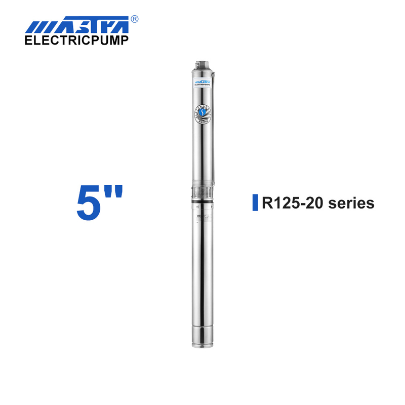 60Hz Mastra 5 inch Submersible Pump - R125 series 20 m³/h rated flow water wells and pumps