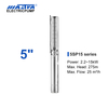 Mastra 5 inch stainless steel submersible pump - 5SP series 15 m³/h rated flow